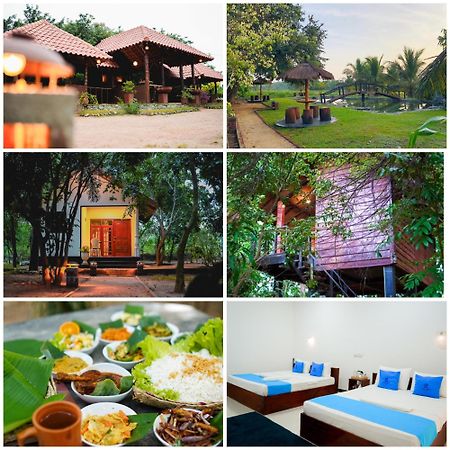 Ceylon Amigos Eco Resort Sigiriya Exterior foto