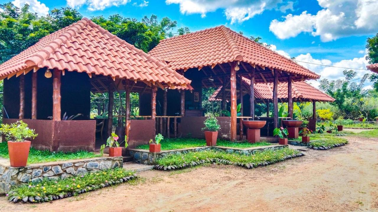 Ceylon Amigos Eco Resort Sigiriya Exterior foto